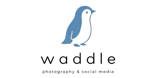 名古屋でポートレート撮影なら「waddle」